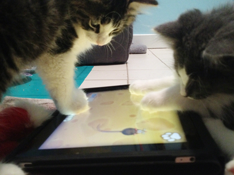 The boys with game for cats copy.jpg