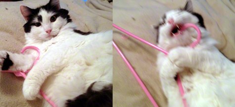 The dood and the hanger copy.jpg