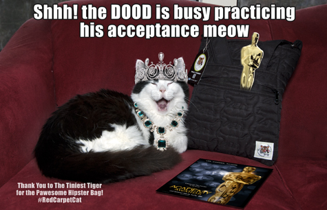 The dood is practicing copy.jpg
