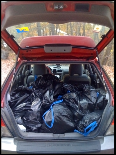 Trunk full of spoiled food.jpg