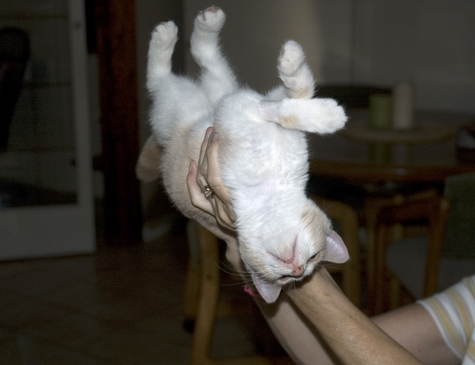 Upsidedown. R.Olson.jpg