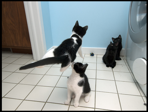 Visiting Auntie Gravity.jpg