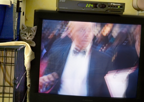 Watching TV sm.jpg