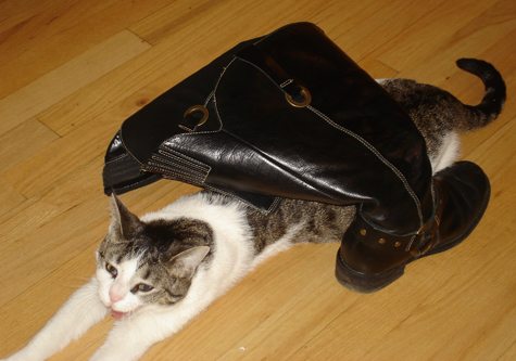 Will 2010.jpg