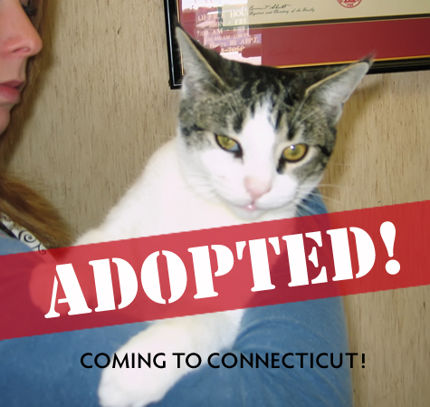 Will adopted copy.jpg