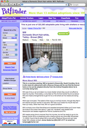 Wills Petfinder Ad_sm.jpg