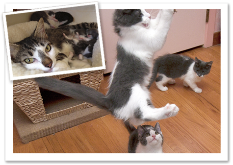 Winnie and fam before and after.jpg