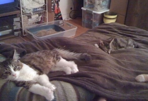 With Polly. R.Olson.jpg