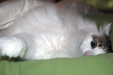 YOU Sleep next to that.jpg