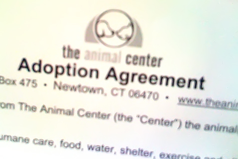 adopt agree.jpg