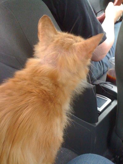 back seat driver 6.9.jpg
