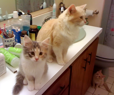 bathroom fun copy.jpg