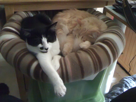 blitz and patty.jpg
