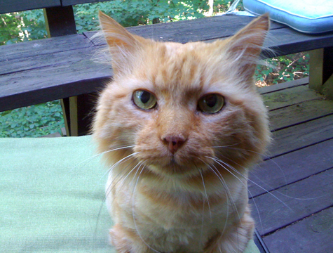 bob on deck copy.jpg