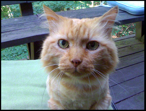 bob on deck_shaved.jpg