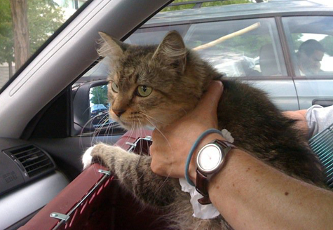 bobbi out of the carrier.jpg
