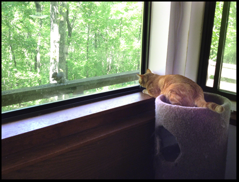 bobette with the squirrel.jpg