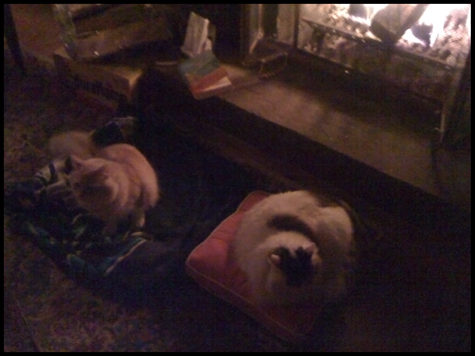 by the fire.jpg