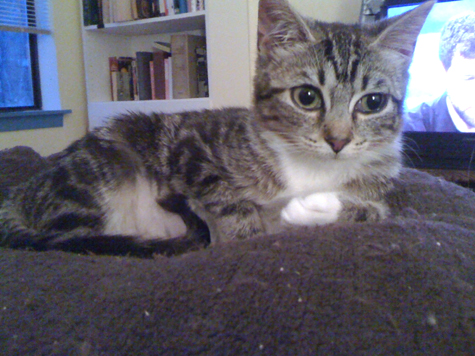 cara om bed.jpg