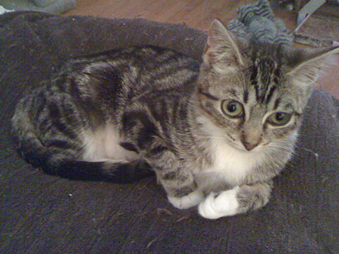 cara on bed b.jpg