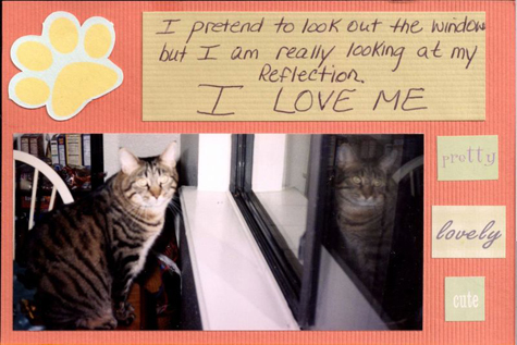 cat card.jpg