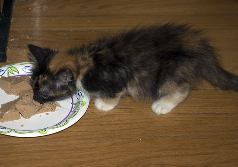 cin eating.jpg
