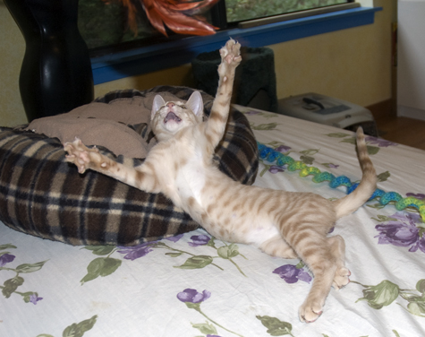 come to me.jpg