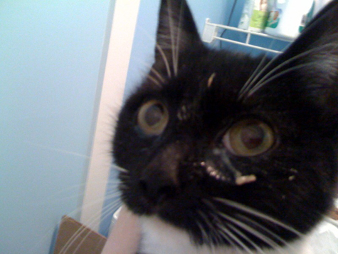comet sick.jpg