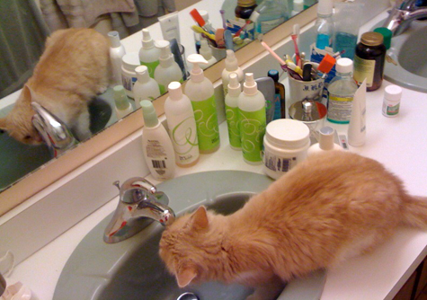 cupid at the faucet.jpg