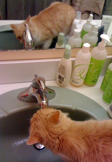 cupid at the faucet2.jpg