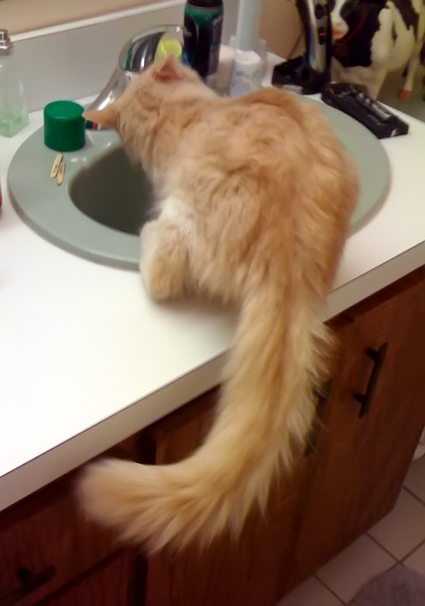cupid at the faucet3.jpg