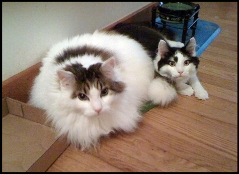 dood and spencer_b.jpg