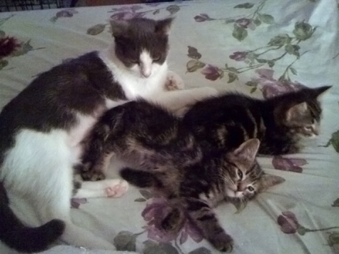 family portrait.jpg
