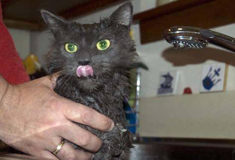gracie bath.jpg