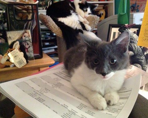 helping work.jpg