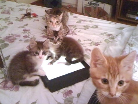 iPad fun.jpg