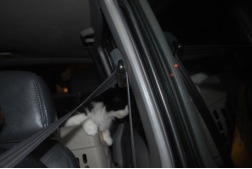 in car 2.jpg