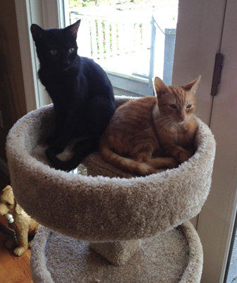 in new home.jpg