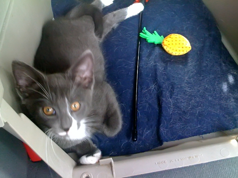 in the car 3.jpg