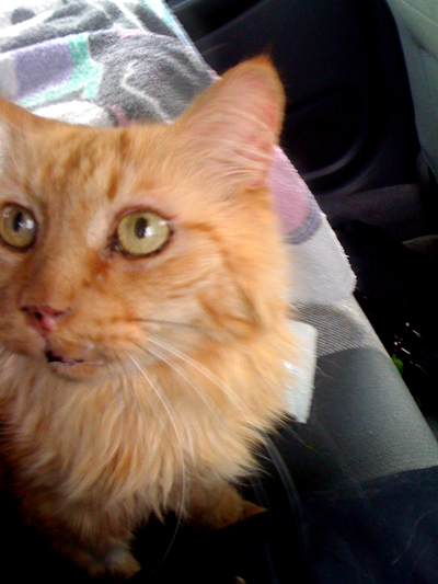 in the car copy.jpg