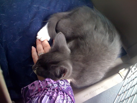 in the car with hand.jpg