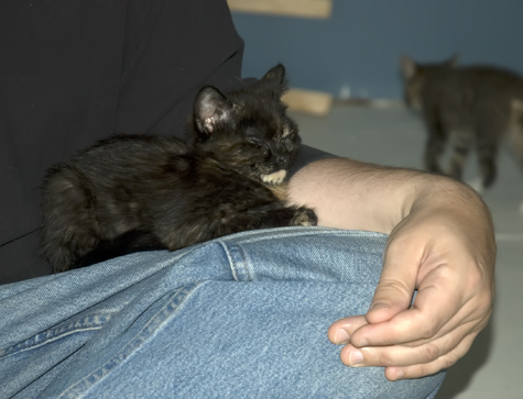 lap time.jpg