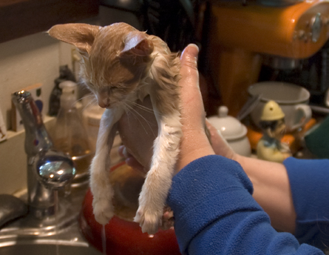limp at bath time_sm.jpg