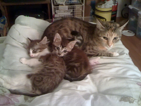 mazie and fam.jpg