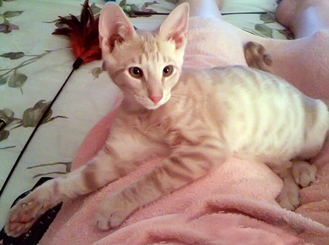 my lap_2.jpg