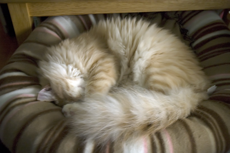 nappy time_sm.jpg