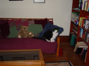 on sofa.jpg