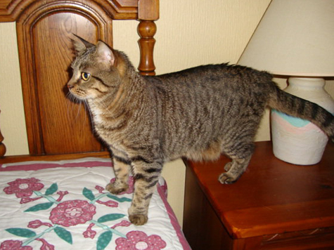 on the bed.jpg