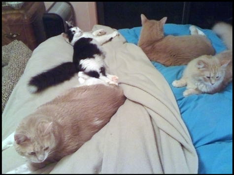 on the bed.jpg