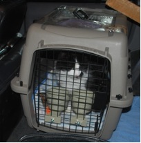 packed up.jpg